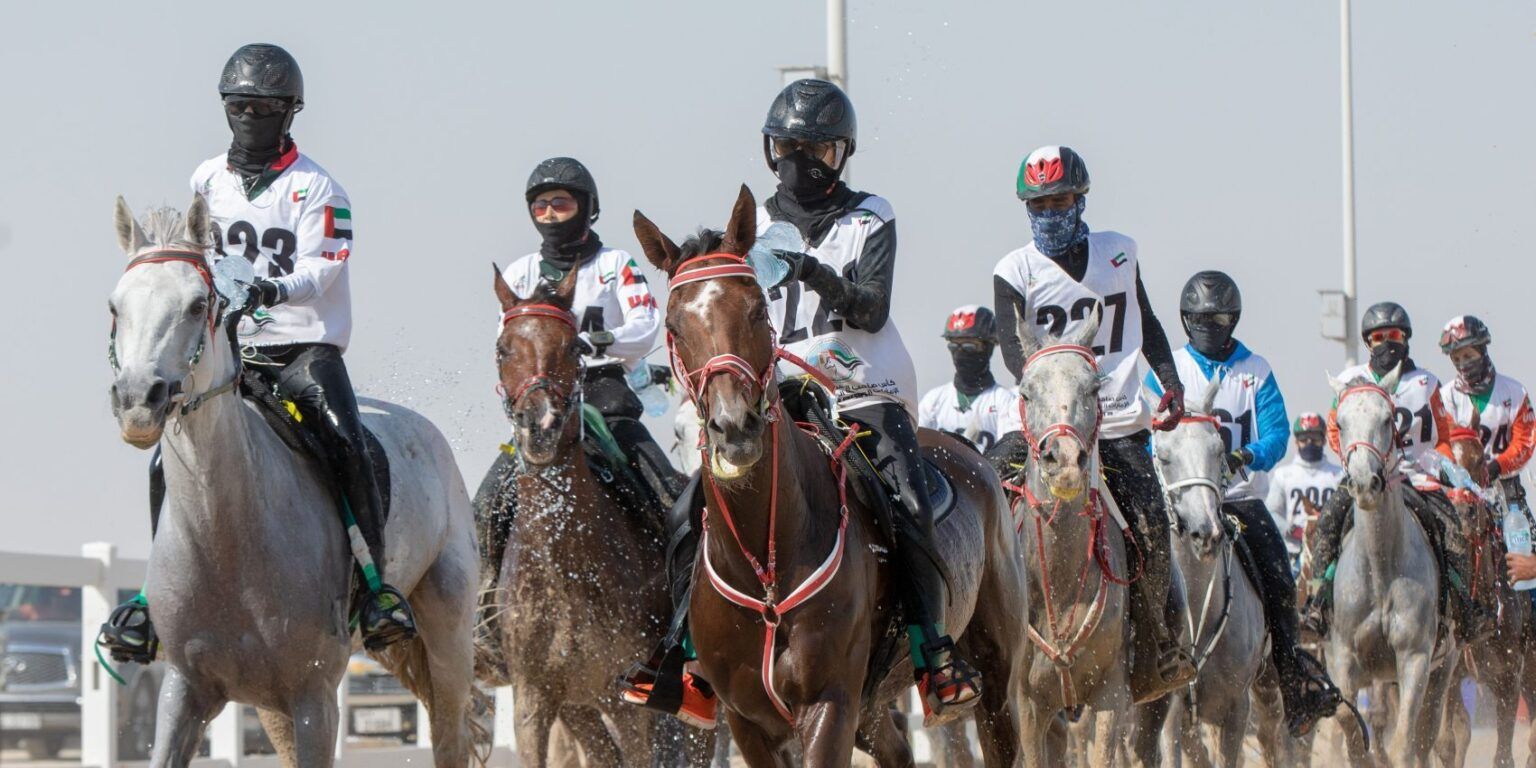 The HH President’s Cup Endurance Ride - Equitrans Logistics ...